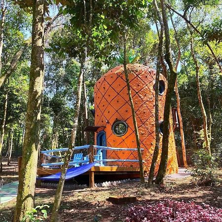 Casa Abacaxi, Vila Magica Bueno Brandao Ngoại thất bức ảnh